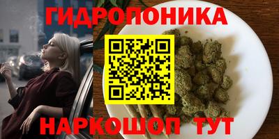 наркотики Брянск