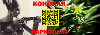 индика Боровичи