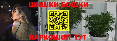 индика Боровичи