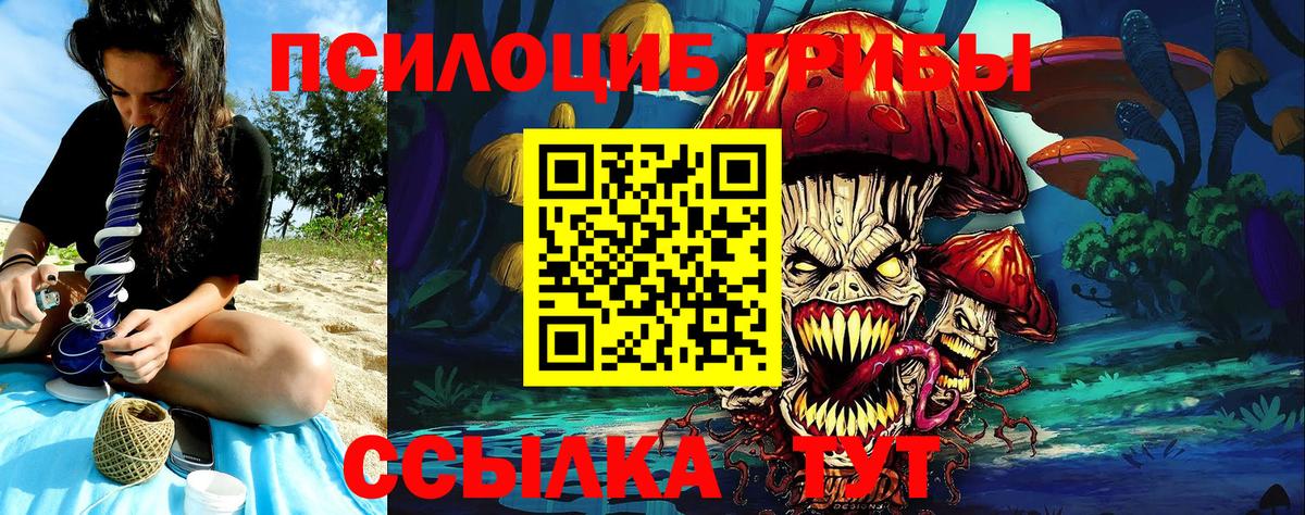 Димитровград  Галлюциногенные грибы Magic Shrooms  Вход с VPN 