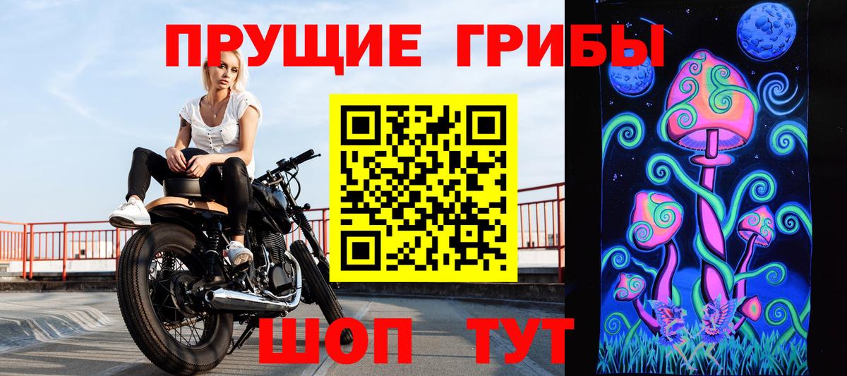 Псилоцибиновые грибы ЛСД Димитровград